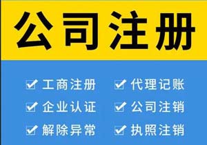 什么是数电发票发票总额度?发票总额度能否调整?